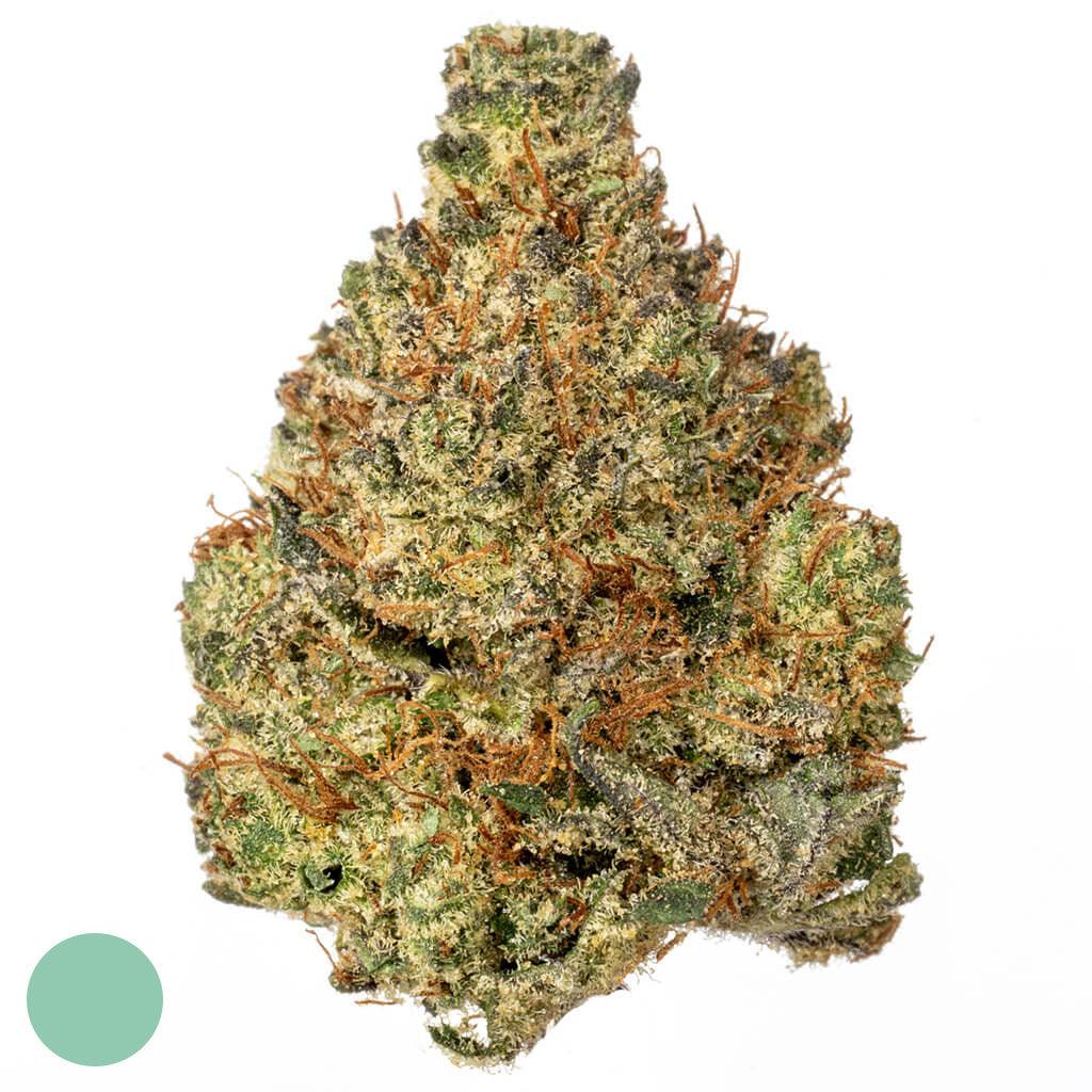 afghan kush - Hi Lab