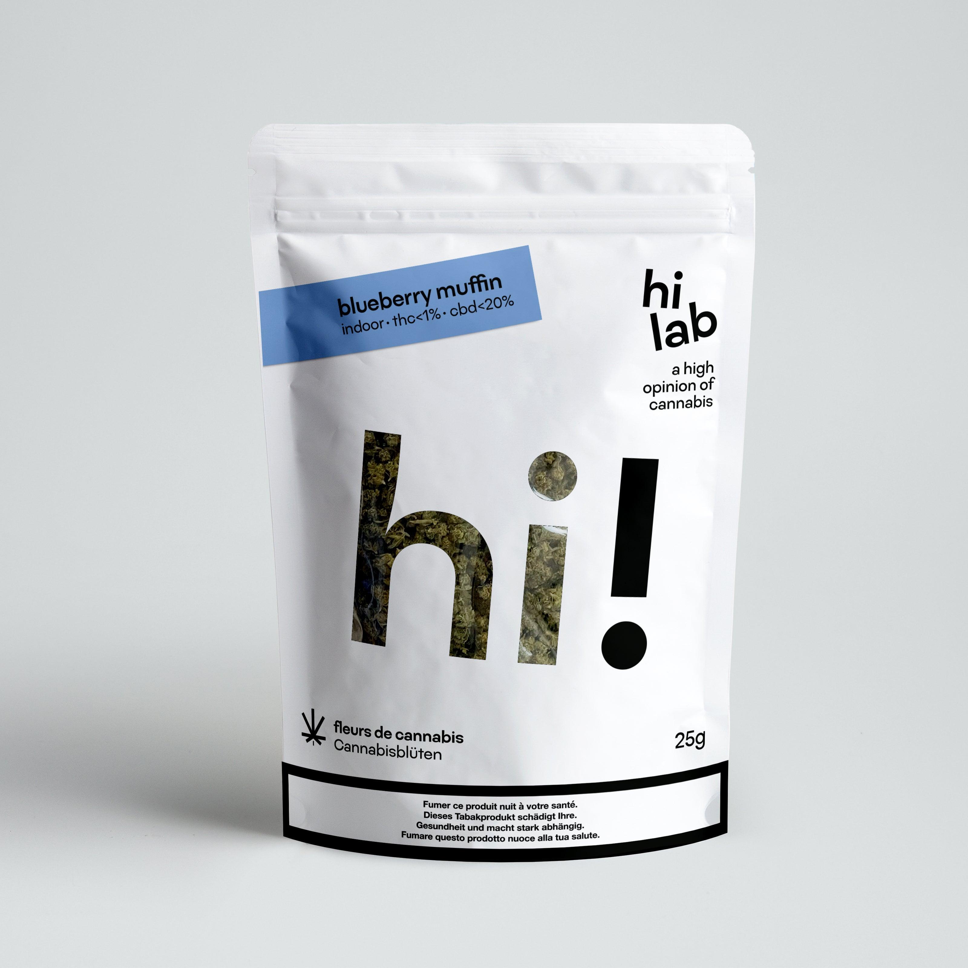 blueberry muffin - Hi Lab