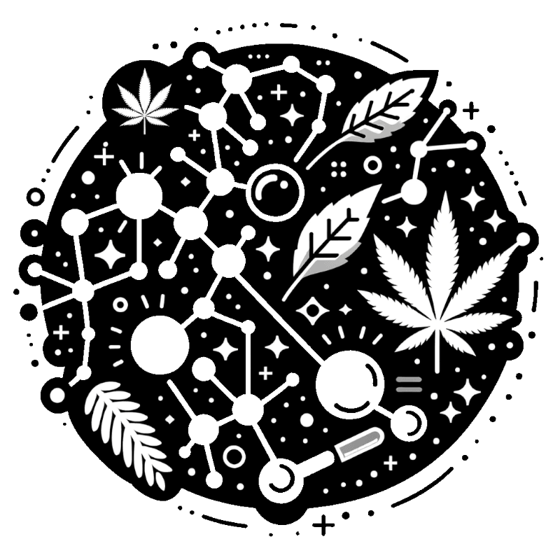 les terpènes dans le cannabis : une danse subtile de saveurs et d'effets - Hi Lab