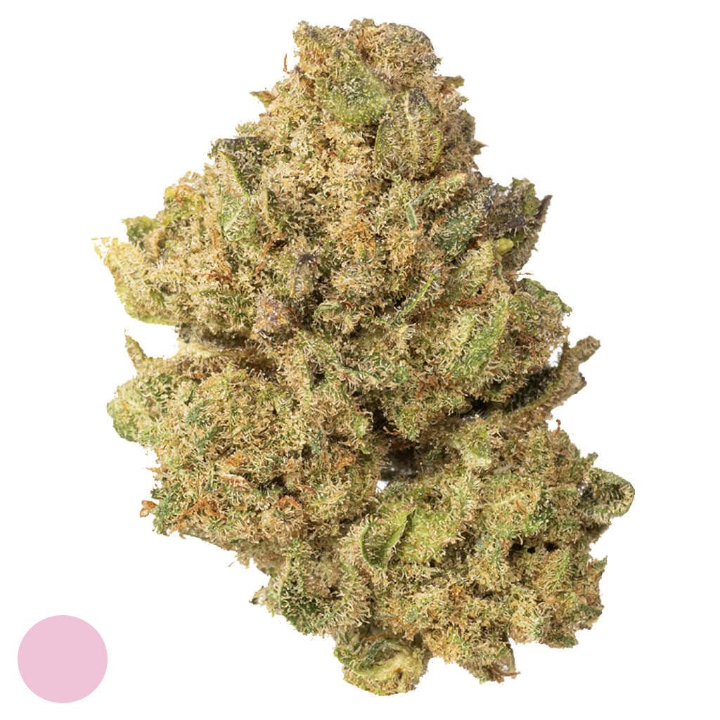 candy kush - Hi Lab