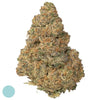 gelato - Hi Lab